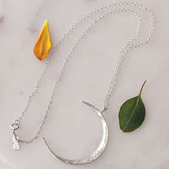Crescent Moon Silver Necklace Image 1