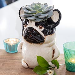 Frenchie Succulent Planter Image 2