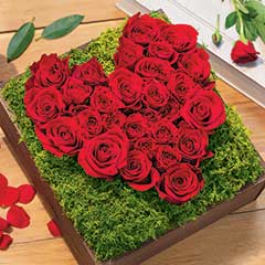 Le Coeur Image 1