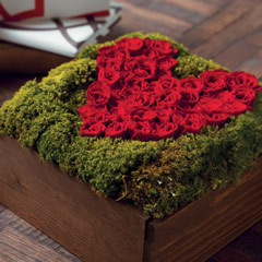 Le Coeur Image 2