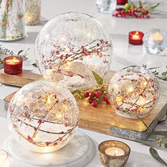 Winterberry Lit Globes Image 1