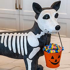 Trick-Or-Treat Skeleton Hound Image 2
