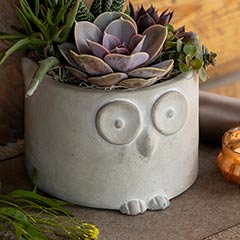 Hoot Owl Planter Image 2
