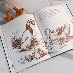 Mallory Mallard & Storybook Image 3