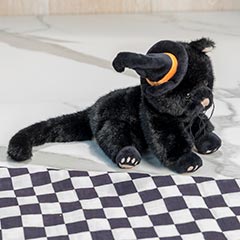 Winnie Witch Cat & Swaddle Image 3