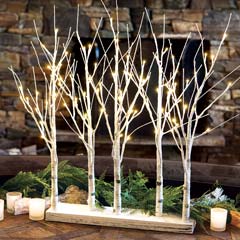 Snowdrift Lit Trees Image 1